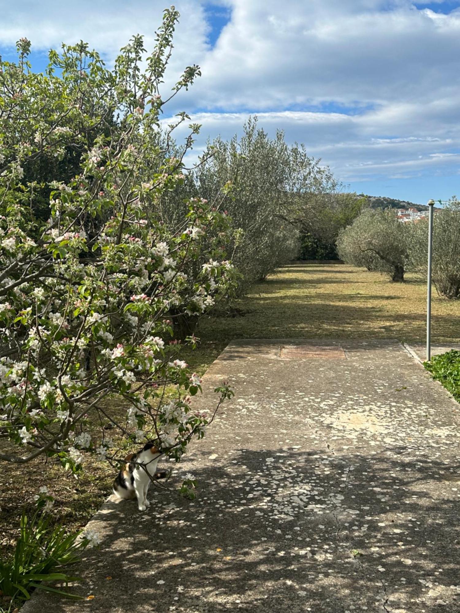 Apartments Vala Betina (Sibenik-Knin) Exterior foto
